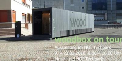 09.03.2018 Woodbox Bauen mit Holz